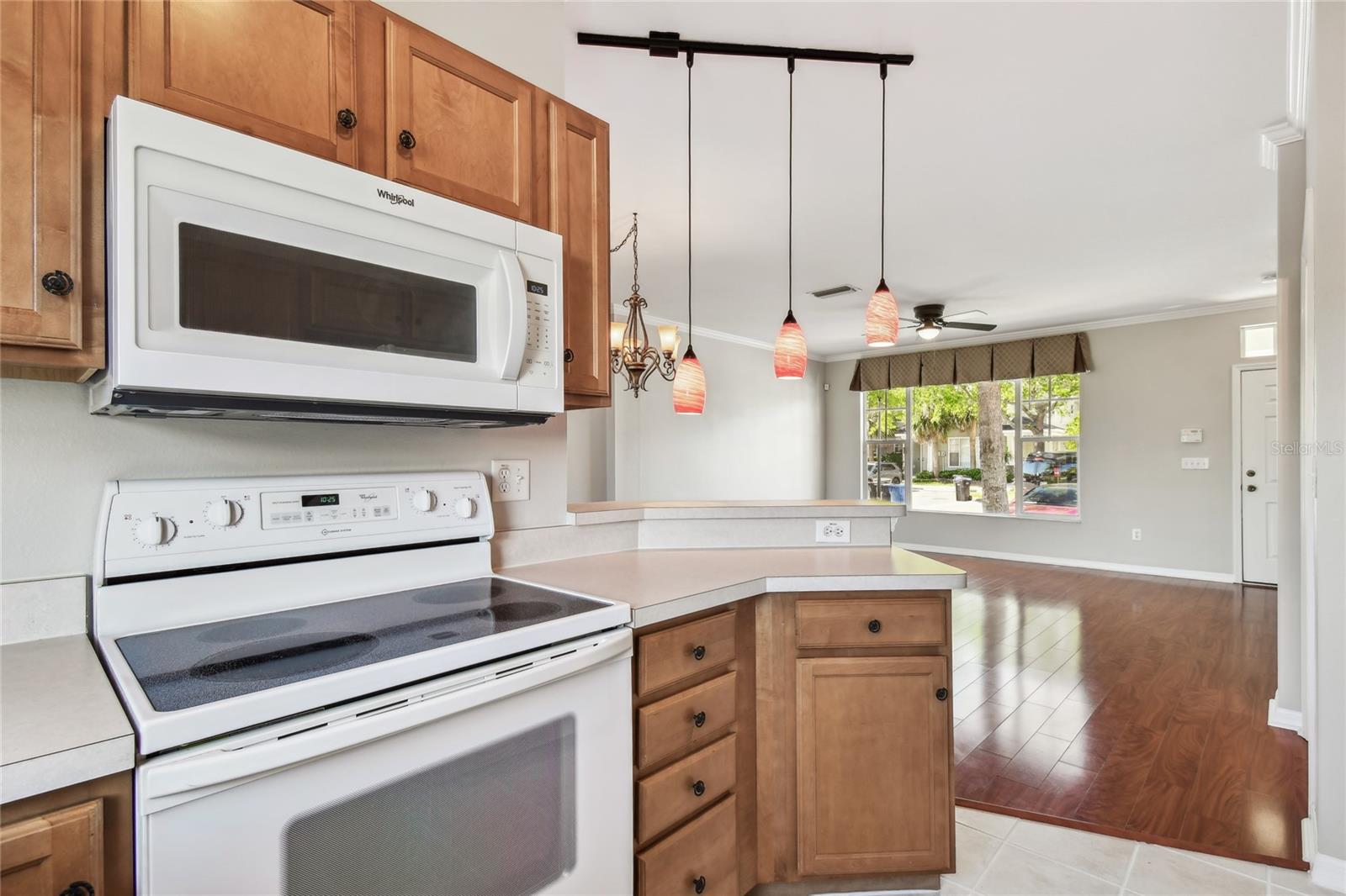 12443 COUNTRY WHITE CIR, TAMPA, FL, 33635