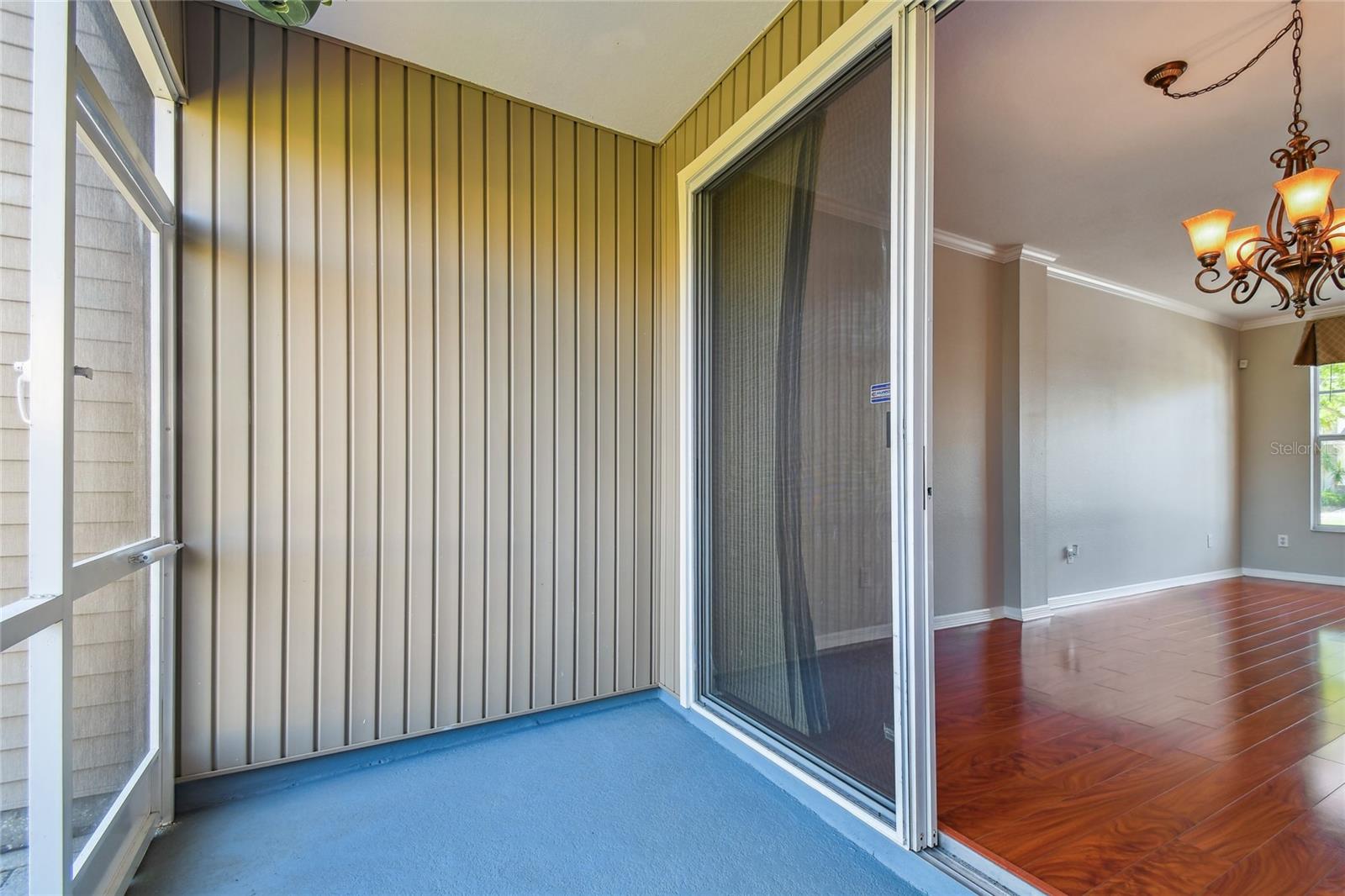 12443 COUNTRY WHITE CIR, TAMPA, FL, 33635