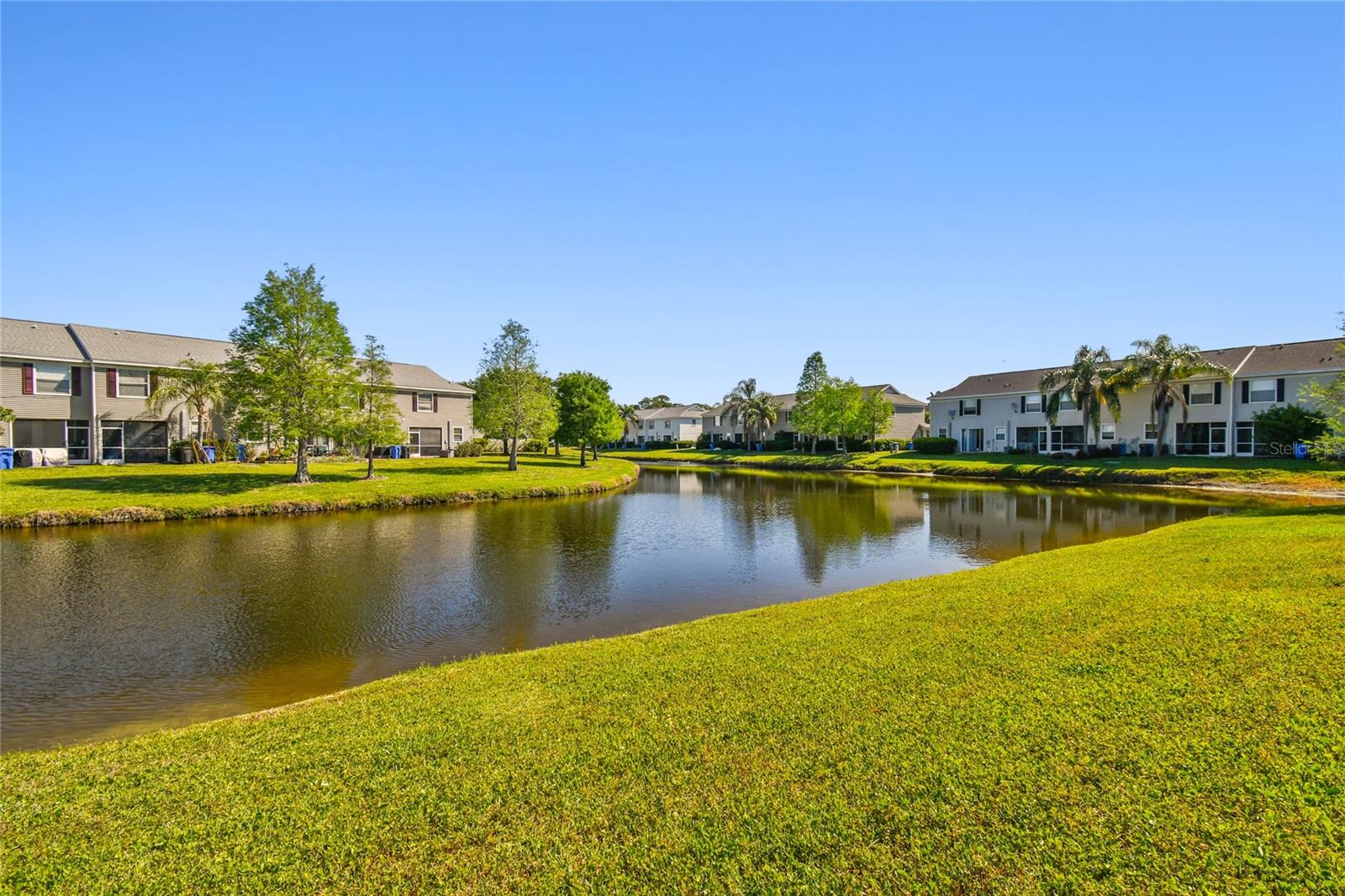 12443 COUNTRY WHITE CIR, TAMPA, FL, 33635