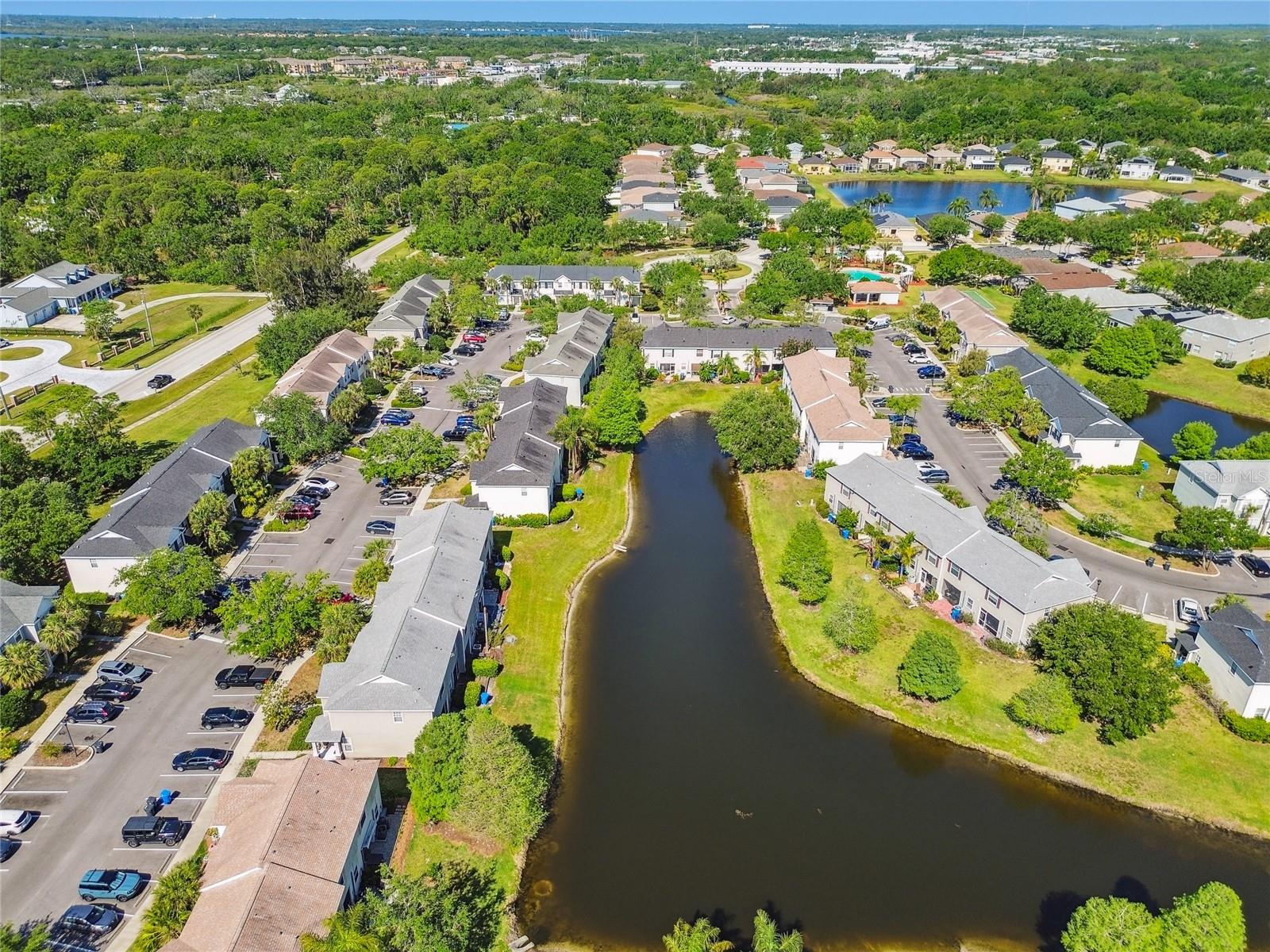 12443 COUNTRY WHITE CIR, TAMPA, FL, 33635