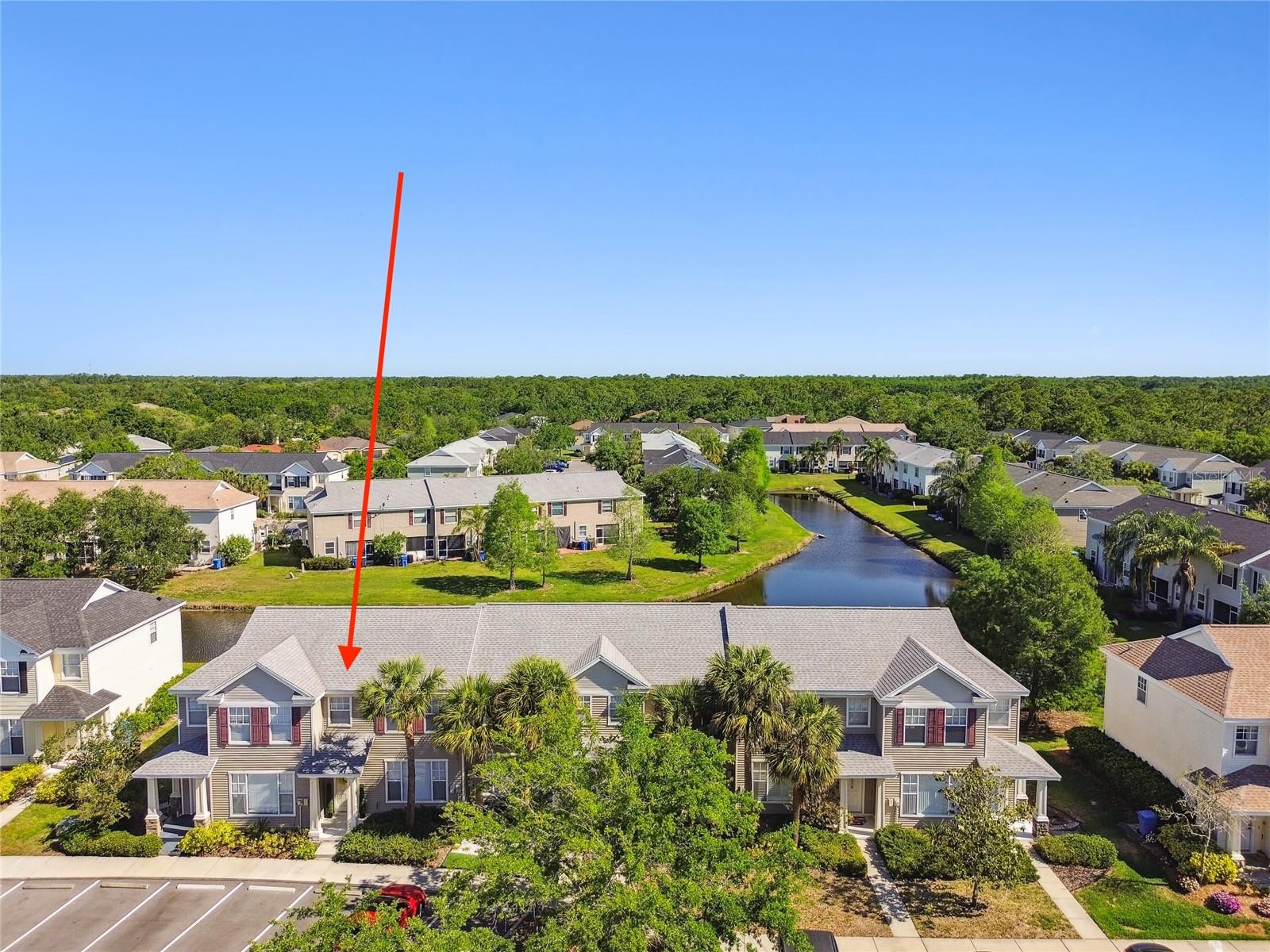 12443 COUNTRY WHITE CIR, TAMPA, FL, 33635