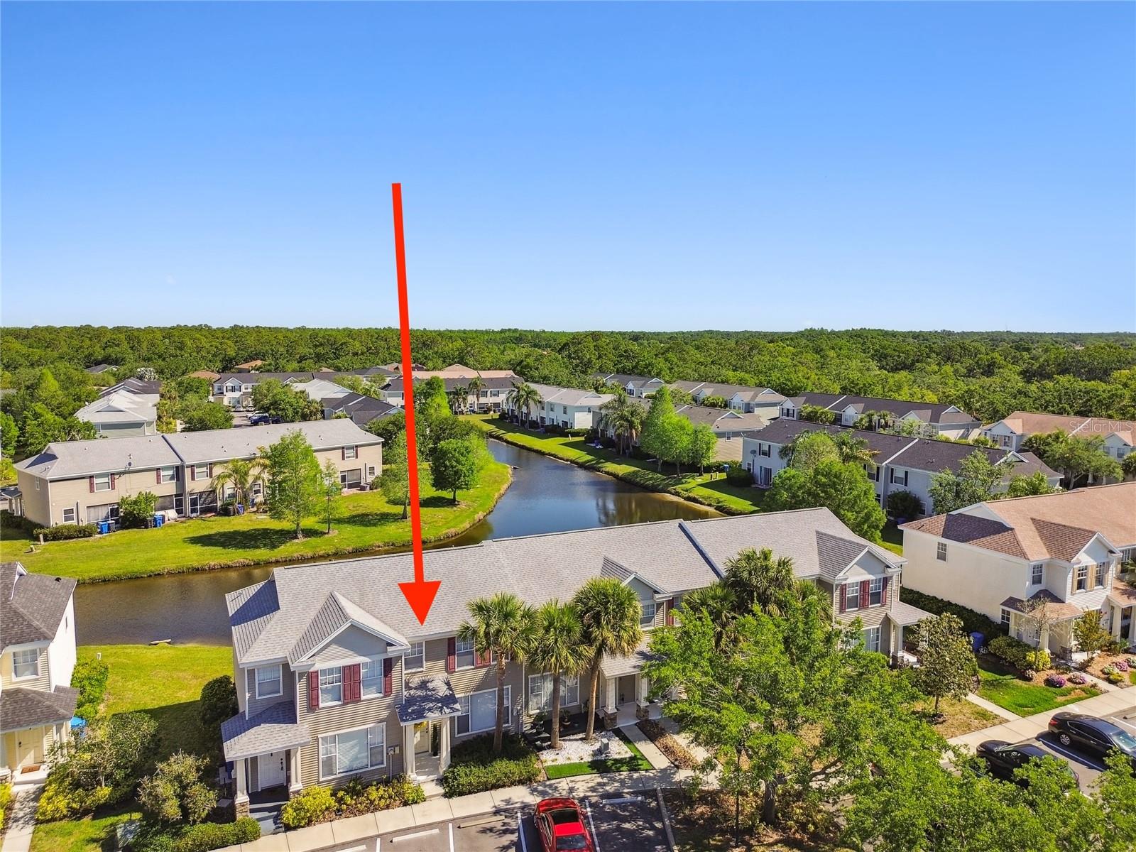 12443 COUNTRY WHITE CIR, TAMPA, FL, 33635