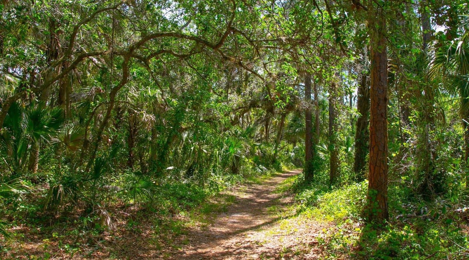 5217 WEDGEWOOD LN #21, SARASOTA, FL, 34235