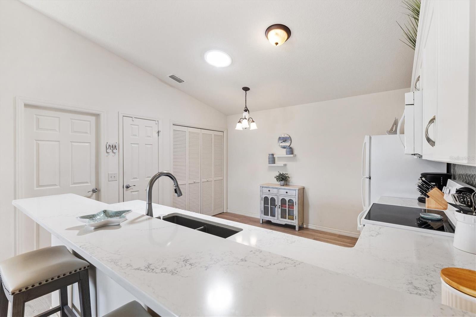 1486 OLYMPIA ST, THE VILLAGES, FL, 32163