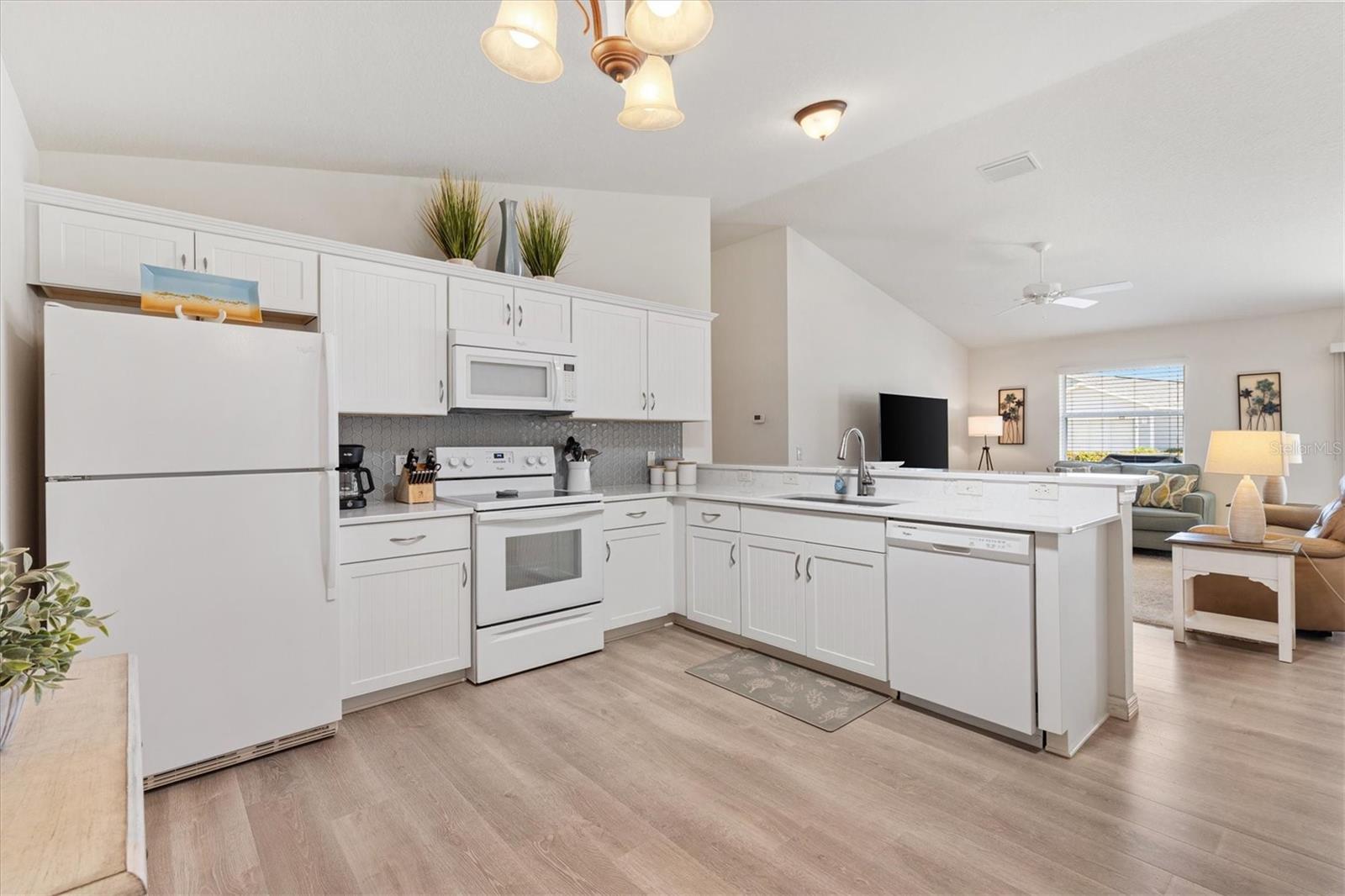 1486 OLYMPIA ST, THE VILLAGES, FL, 32163
