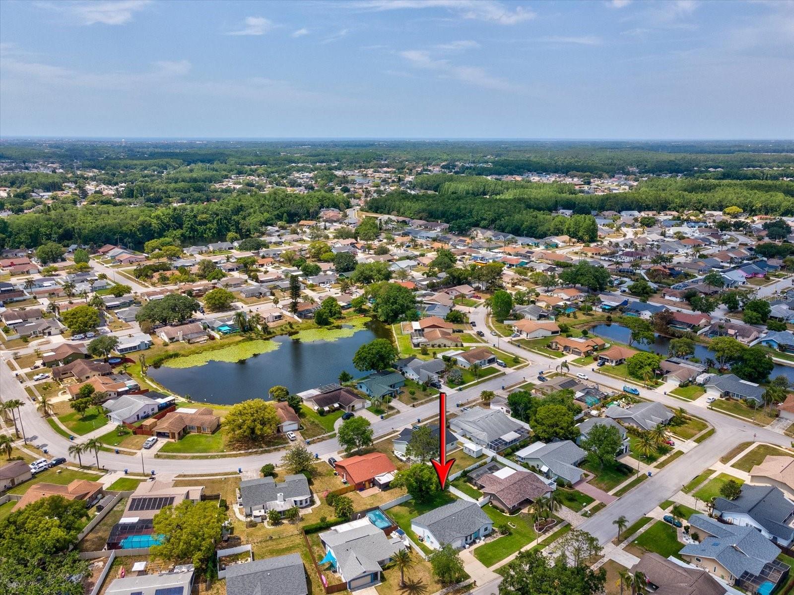 4315 OAKLAND DR, NEW PORT RICHEY, FL, 34653