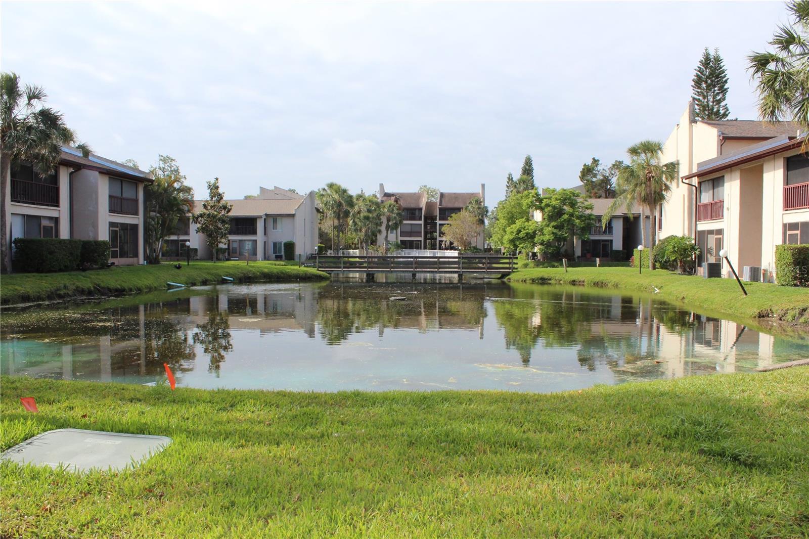 3832 N LAKE DR #116, TAMPA, FL, 33614