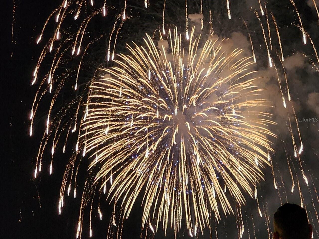 13525 GORGONA ISLE DR, WINDERMERE, FL, 34786