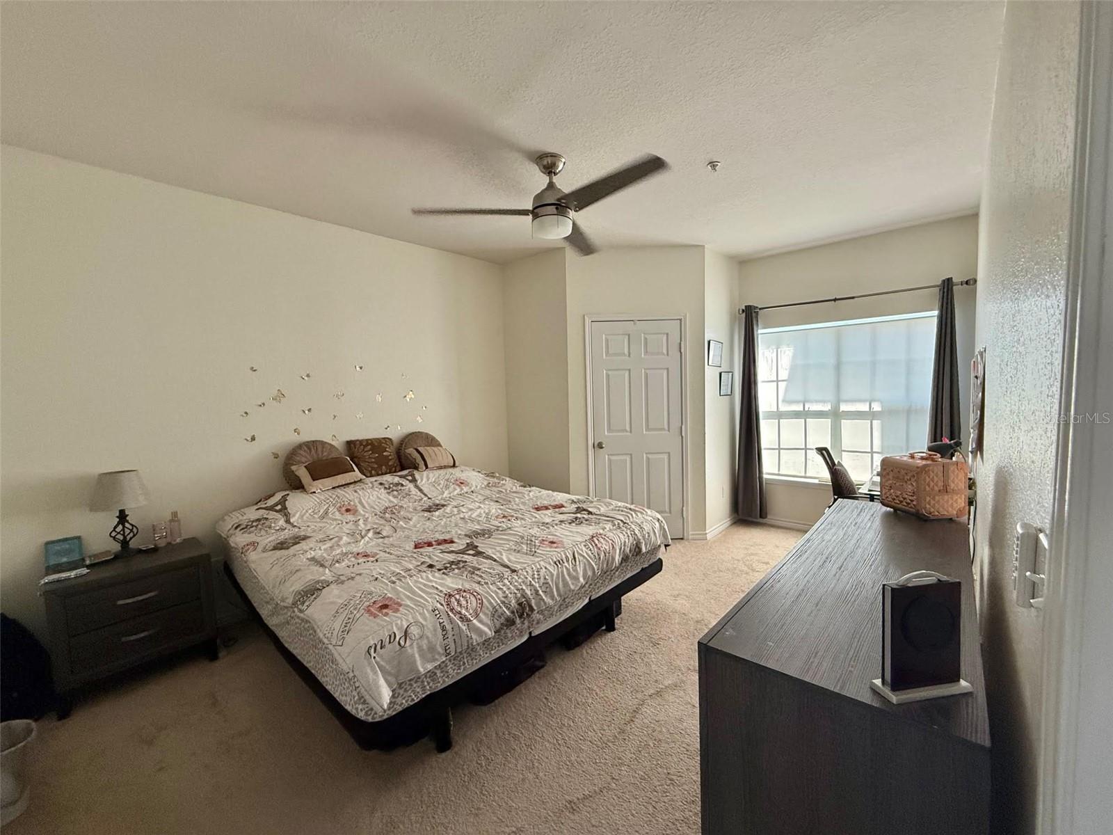 4333 BAYSIDE VILLAGE DR #214, TAMPA, FL, 33615