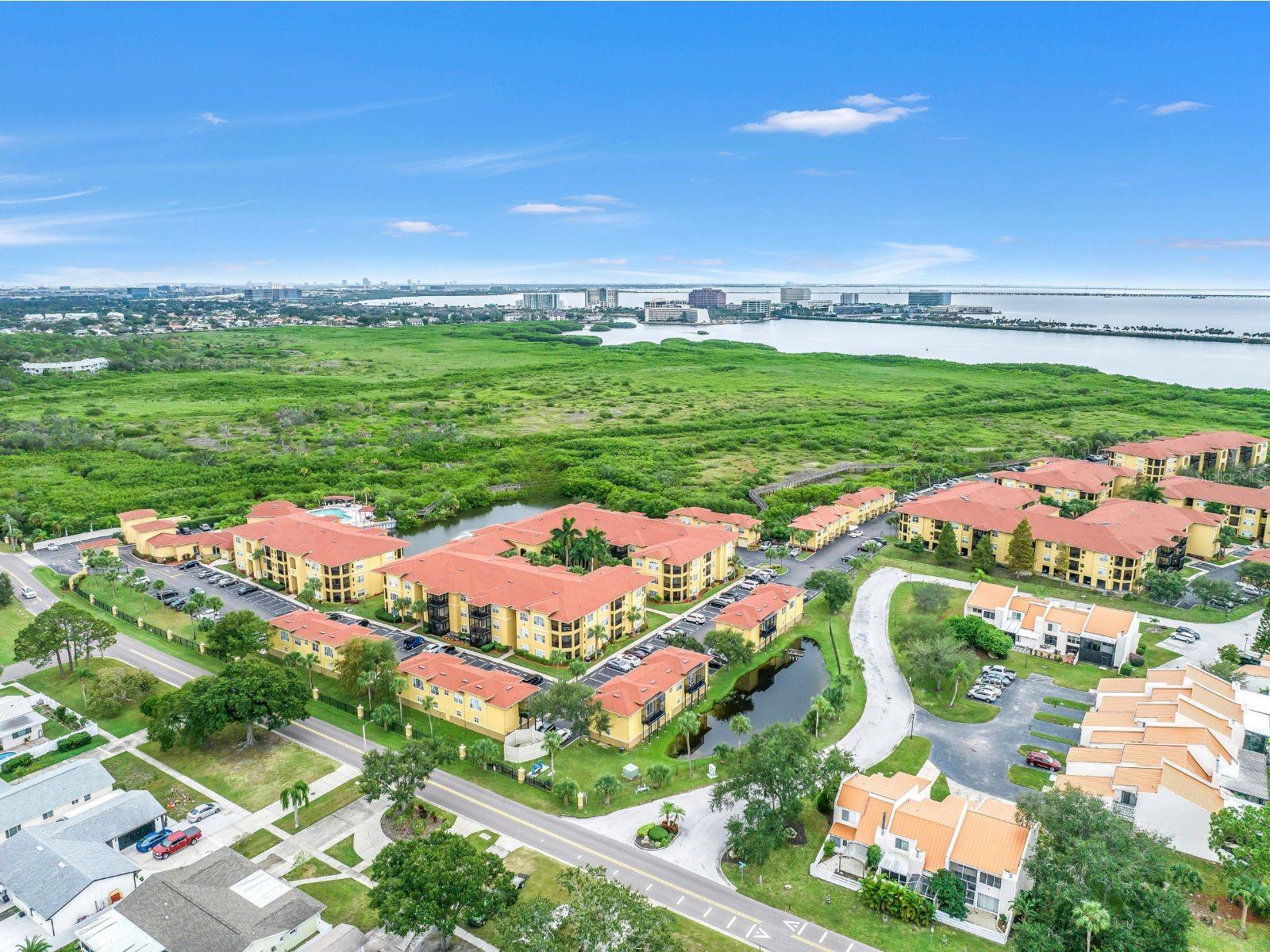 4333 BAYSIDE VILLAGE DR #214, TAMPA, FL, 33615