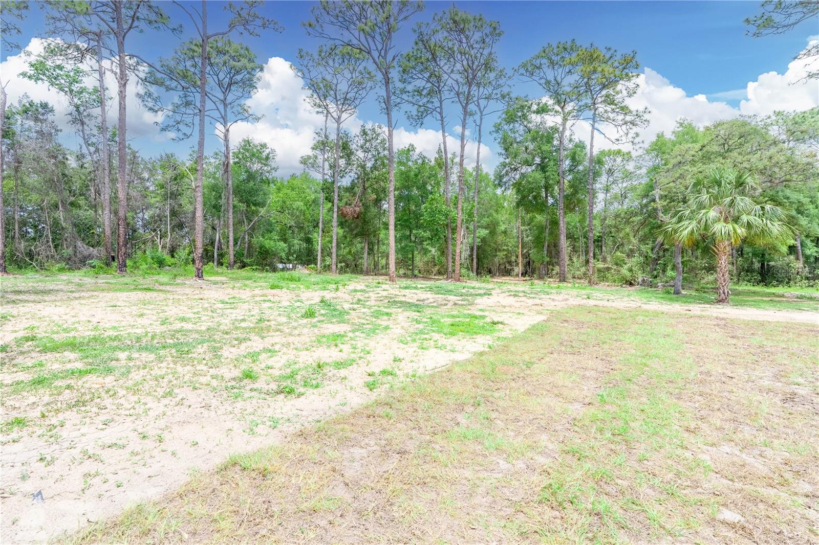 3124 N CANNES PT, HERNANDO, FL, 34442