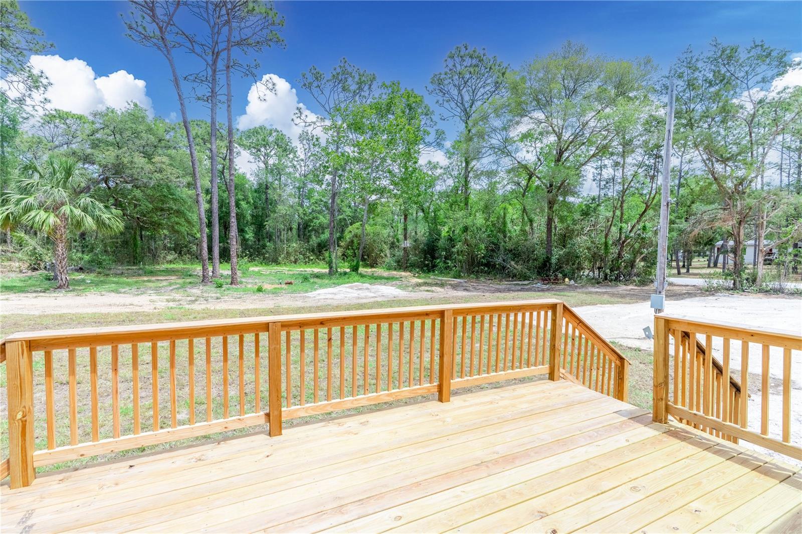 3124 N CANNES PT, HERNANDO, FL, 34442