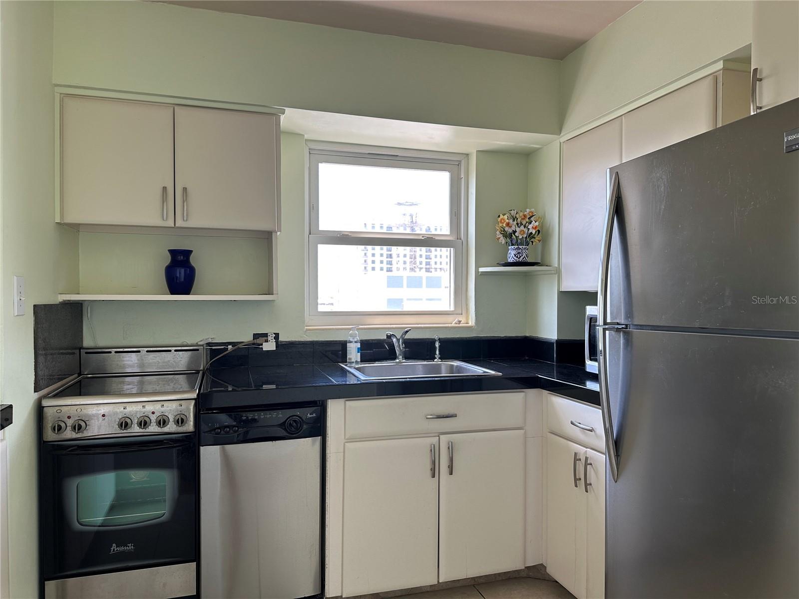 750 BURLINGTON AVE N #5D, ST PETERSBURG, FL, 33701