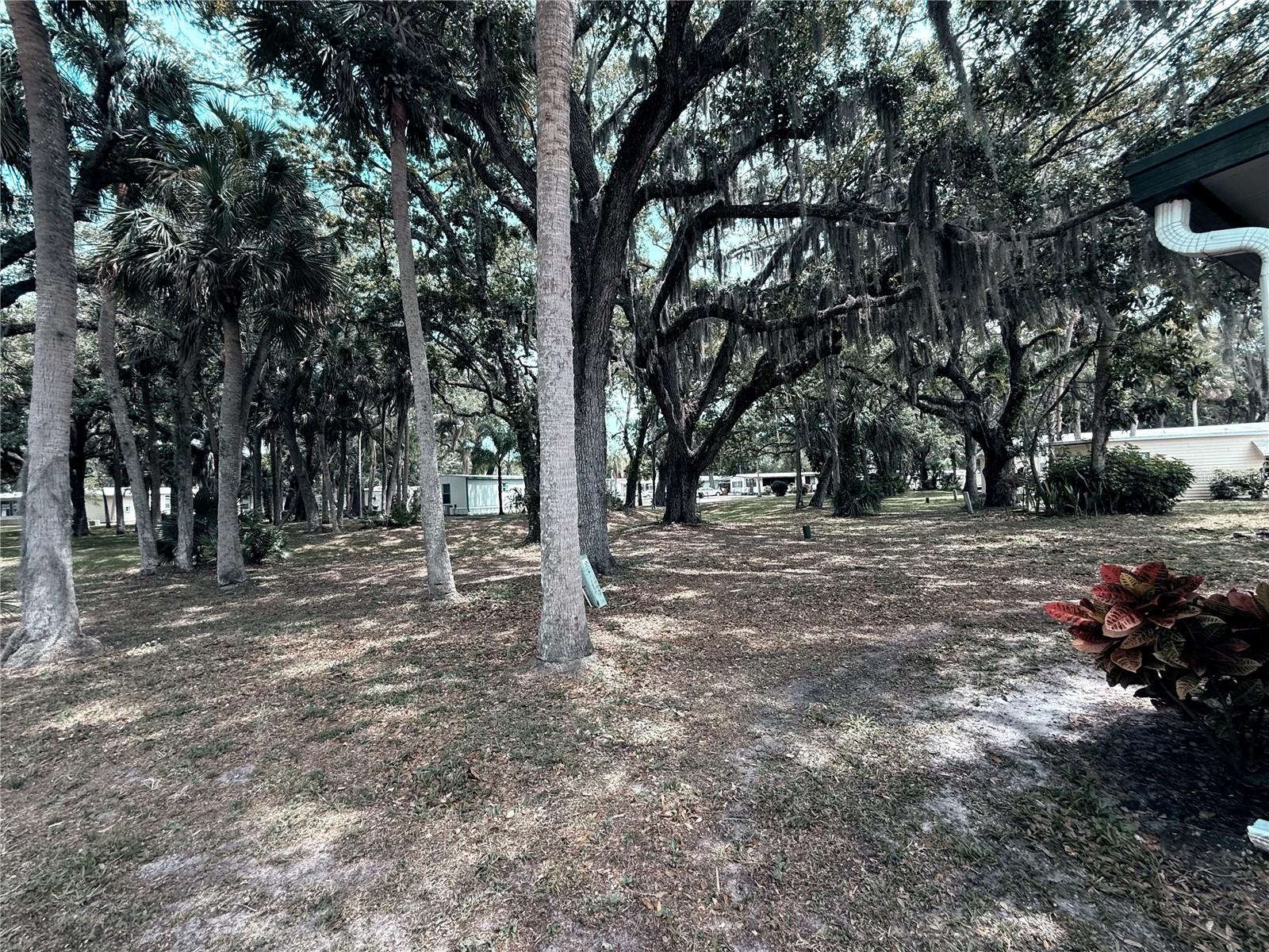 385 HOLIDAY PARK BLVD NE, PALM BAY, FL, 32907