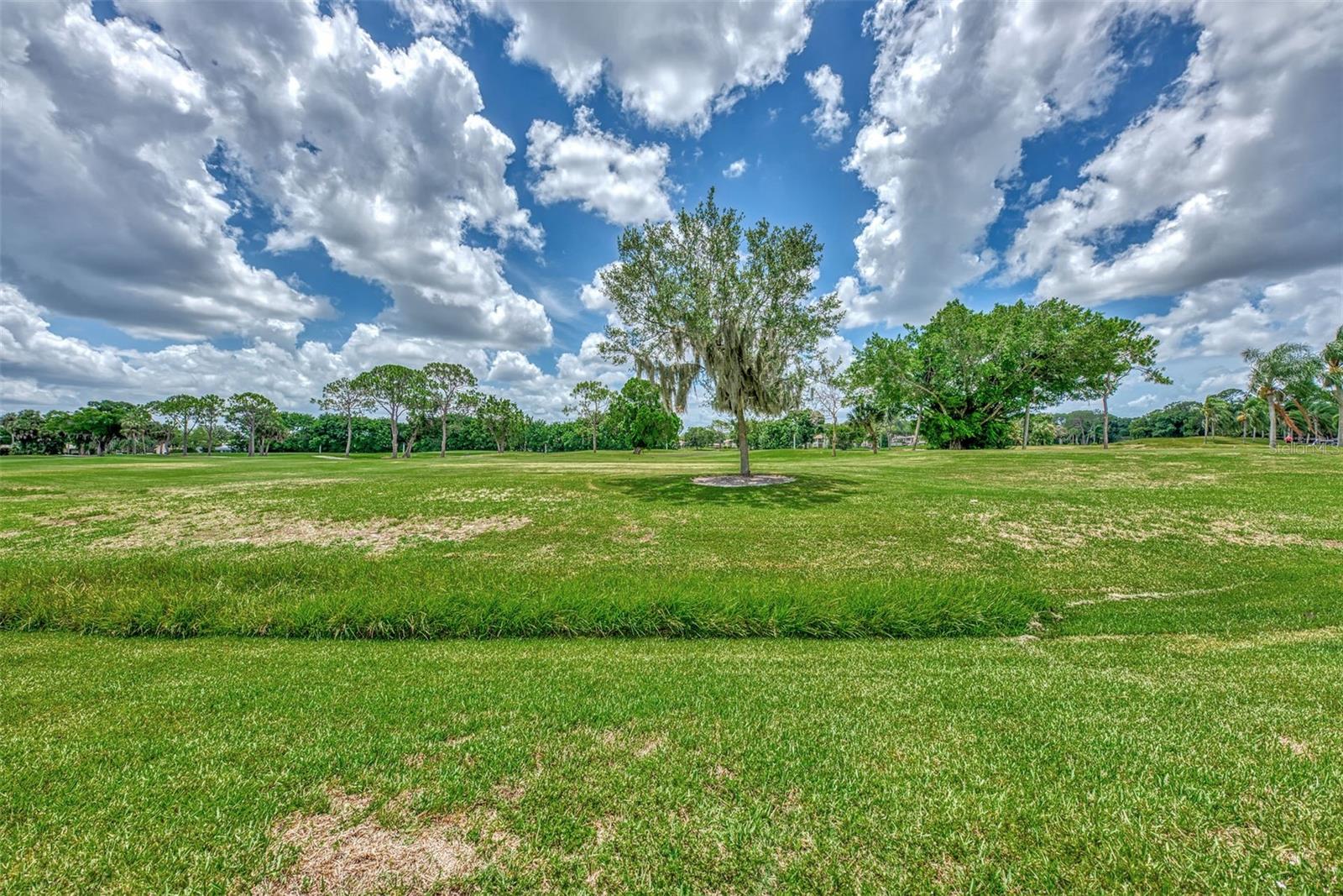 3553 LONGMEADOW #27, SARASOTA, FL, 34235