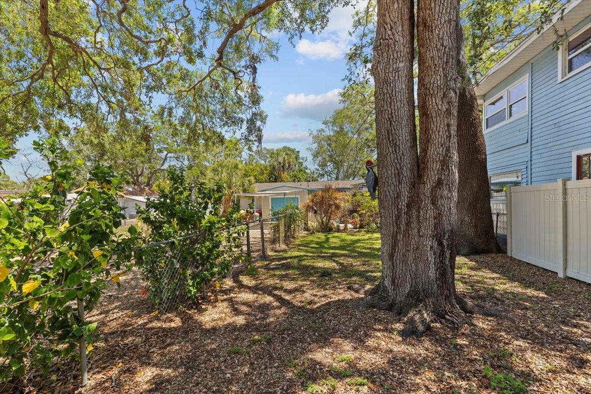 3025 50TH ST S, GULFPORT, FL, 33707