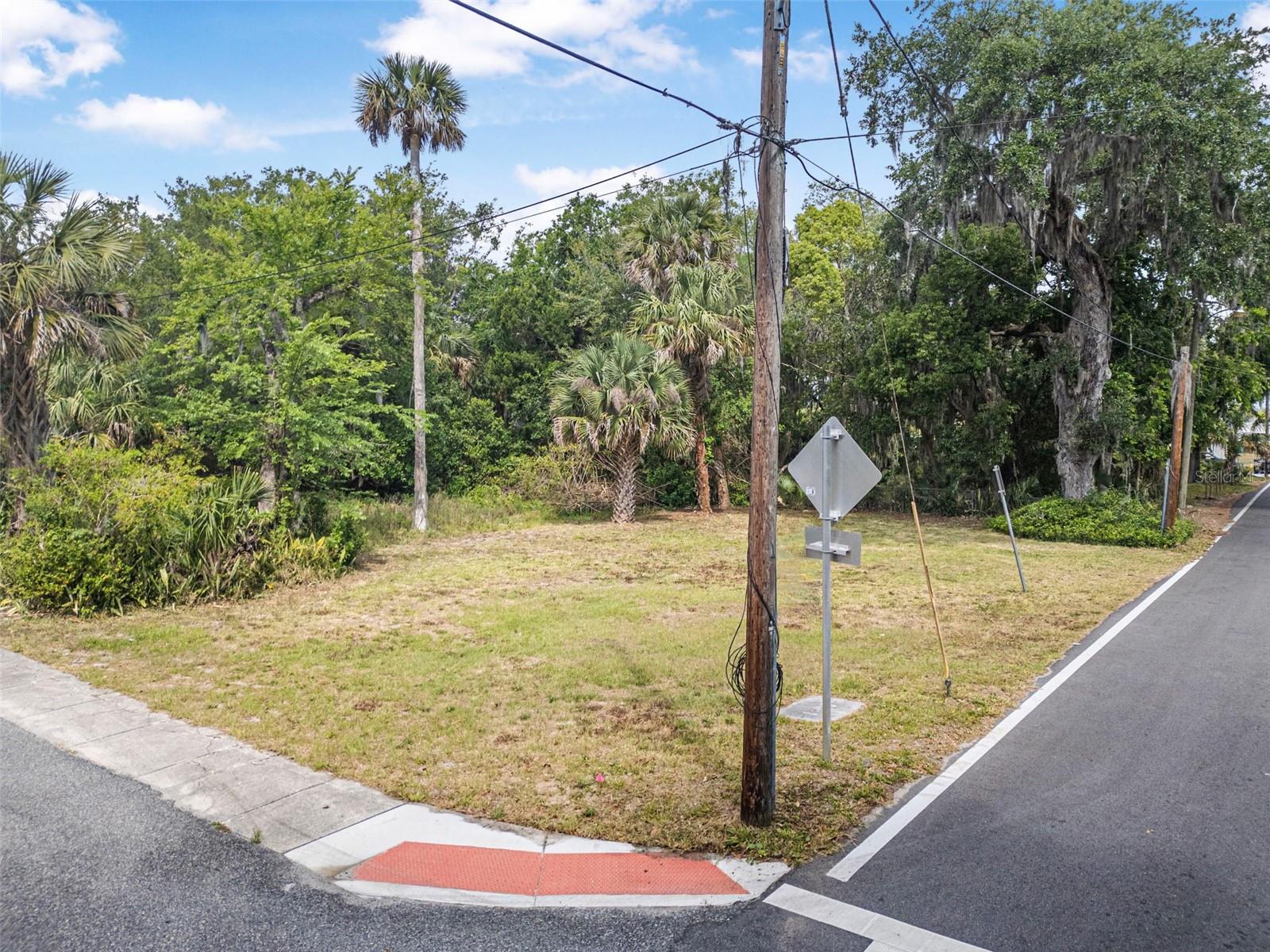 541 CHARLOVIX ST, NEW SMYRNA BEACH, FL, 32168