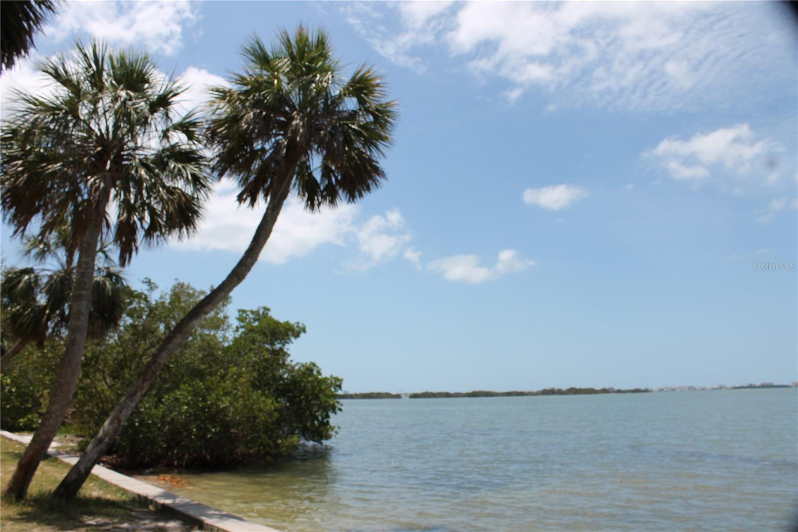 8347 41ST AVE N, ST PETERSBURG, FL, 33709