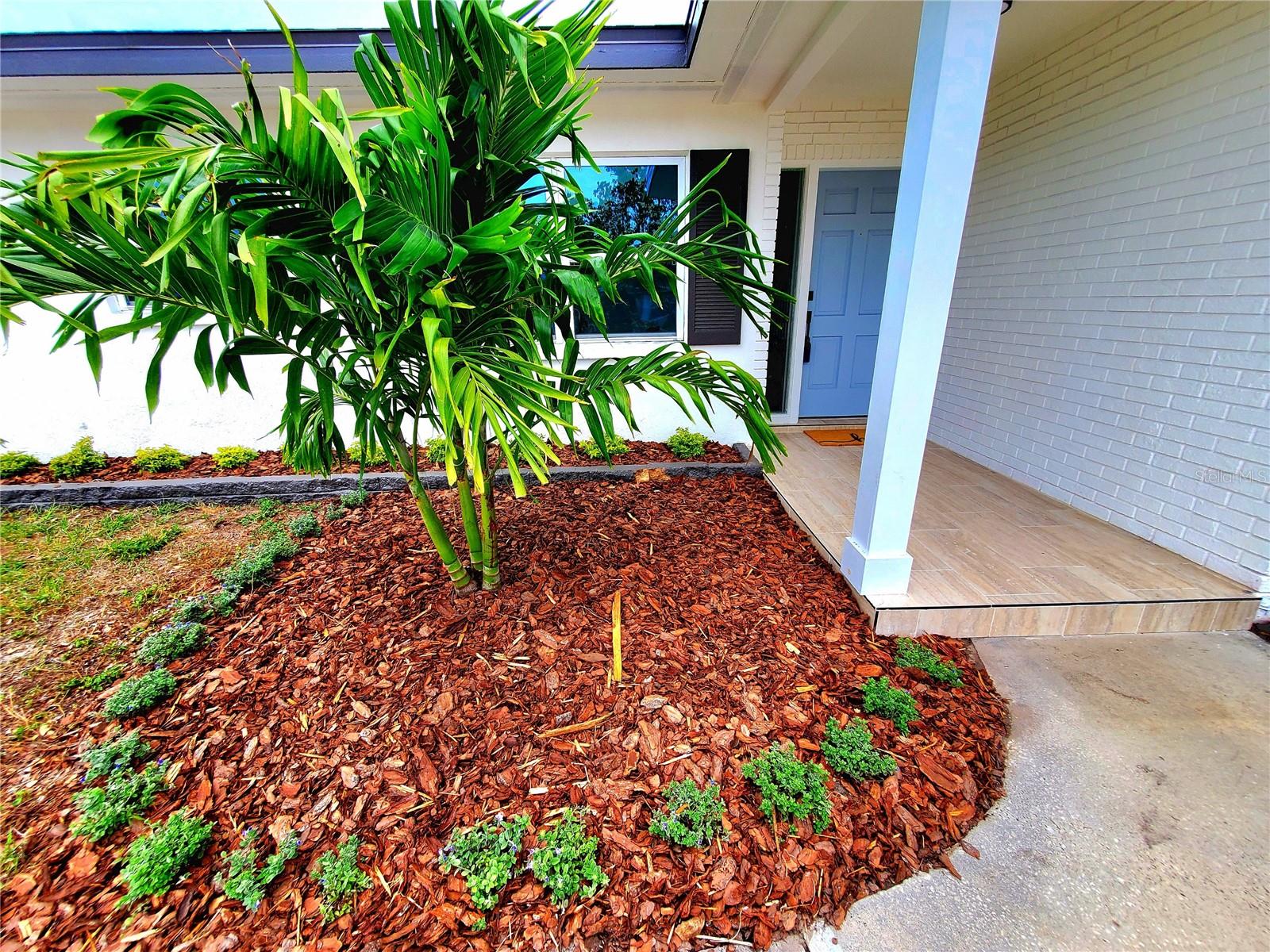 2172 UNIVERSITY DR S, CLEARWATER, FL, 33764