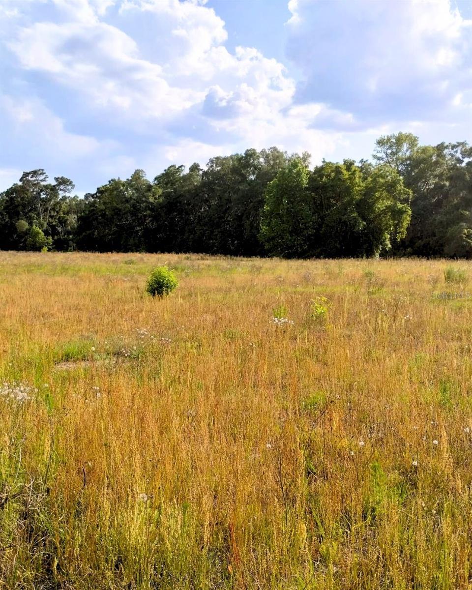 W HWY 326, OCALA, FL, 34482