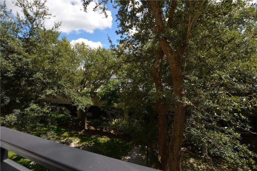 4221 W SPRUCE ST #2229, TAMPA, FL, 33607