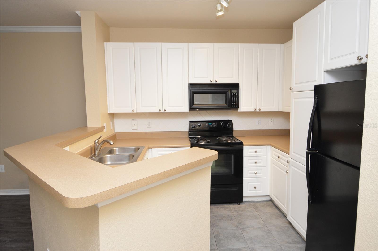 4221 W SPRUCE ST #2229, TAMPA, FL, 33607