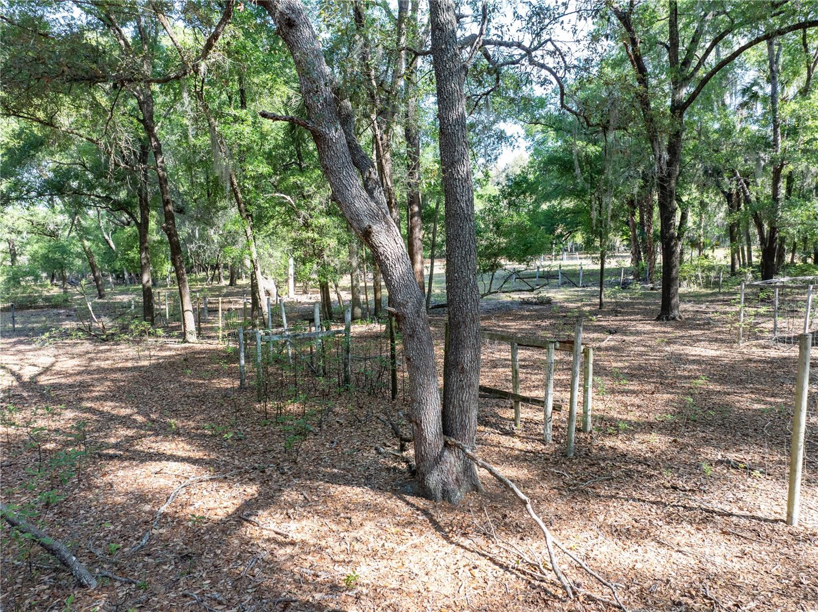 249 KEUKA RD, INTERLACHEN, FL, 32148