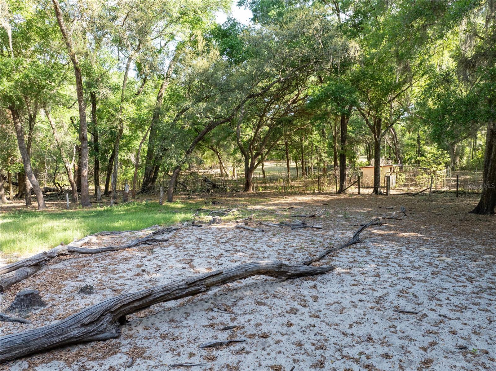 249 KEUKA RD, INTERLACHEN, FL, 32148