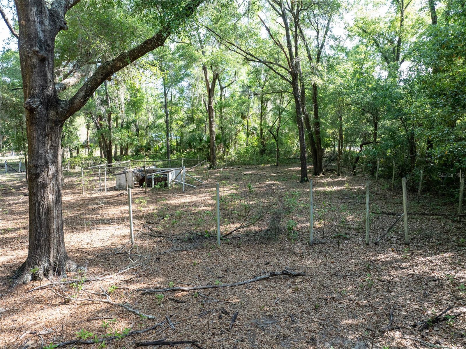 249 KEUKA RD, INTERLACHEN, FL, 32148