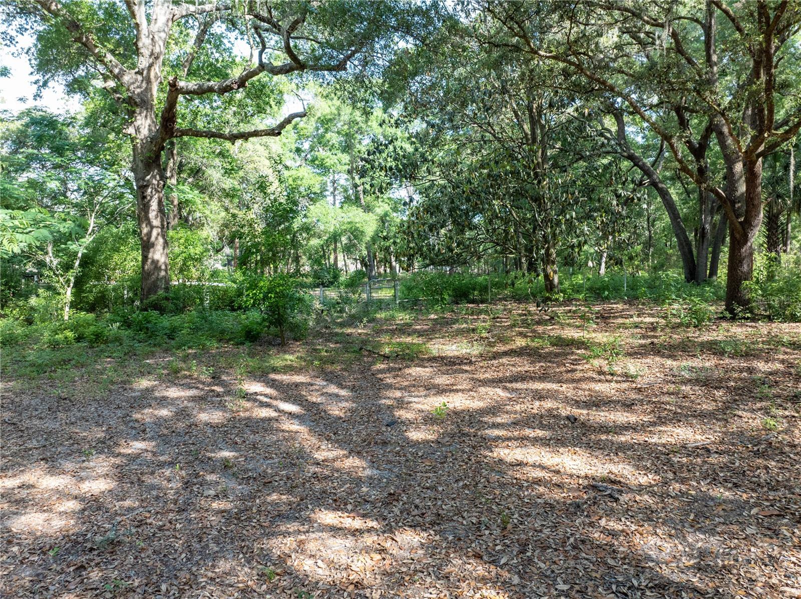 249 KEUKA RD, INTERLACHEN, FL, 32148