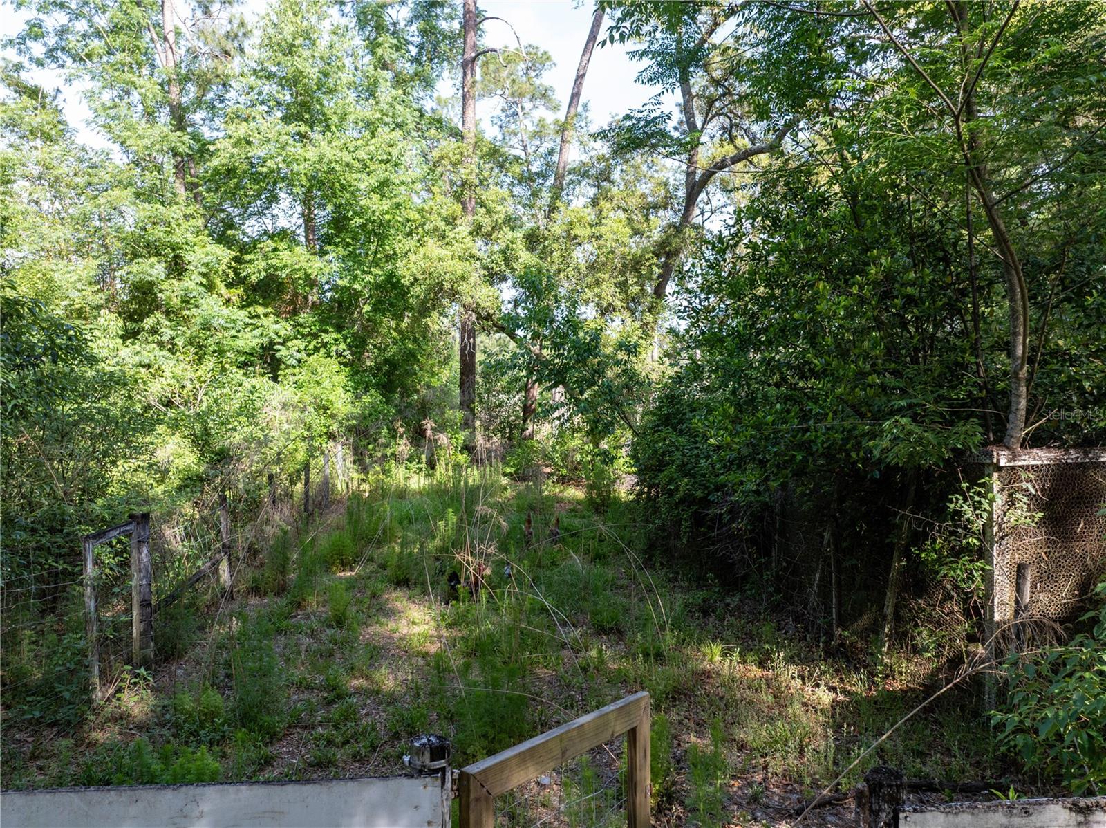 249 KEUKA RD, INTERLACHEN, FL, 32148