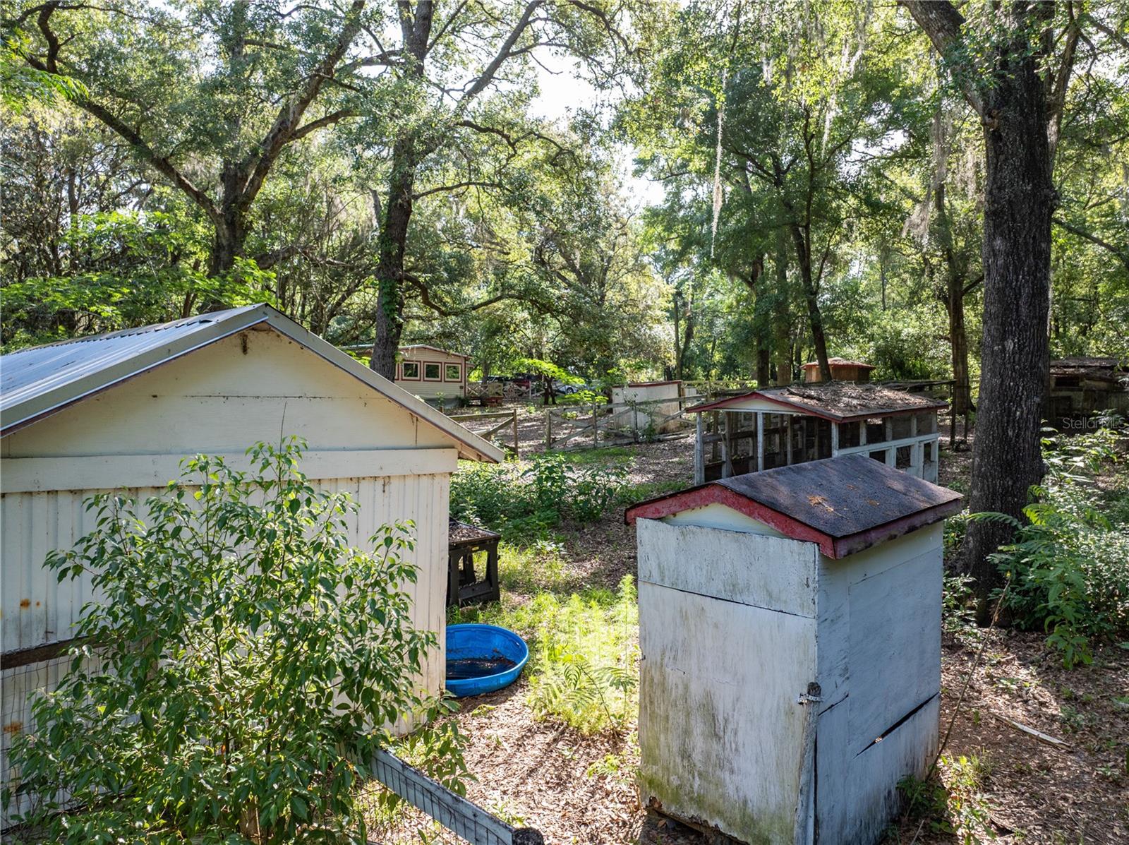 249 KEUKA RD, INTERLACHEN, FL, 32148