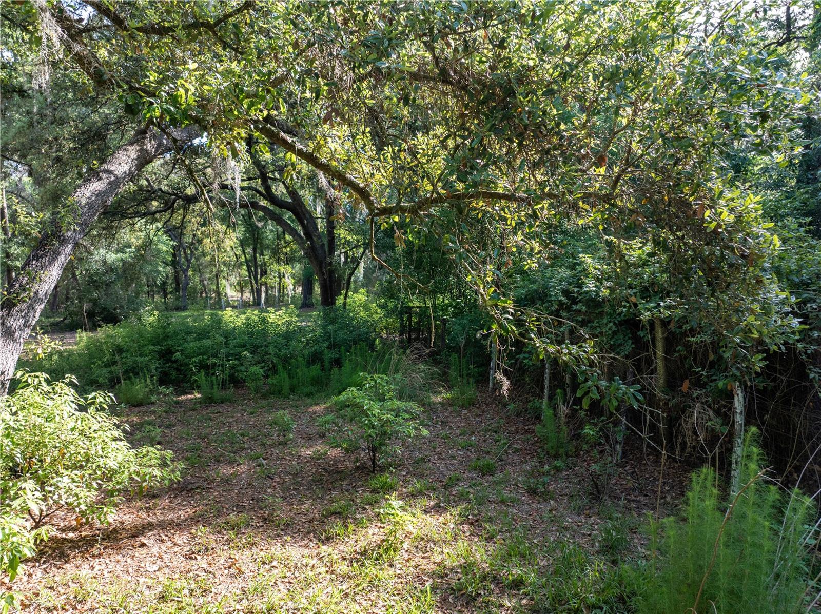 249 KEUKA RD, INTERLACHEN, FL, 32148