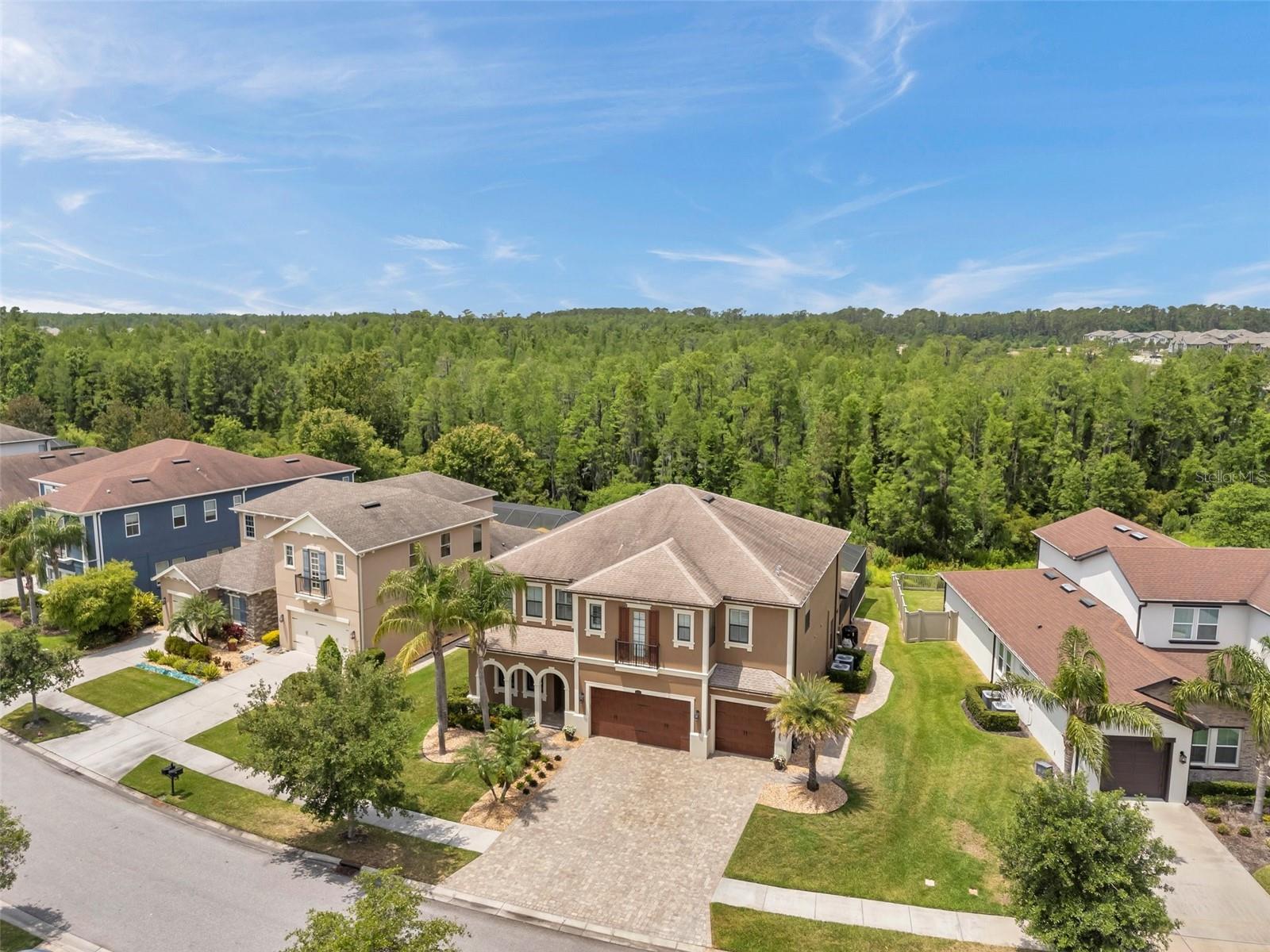 4419 ORTONA LN, WESLEY CHAPEL, FL, 33543