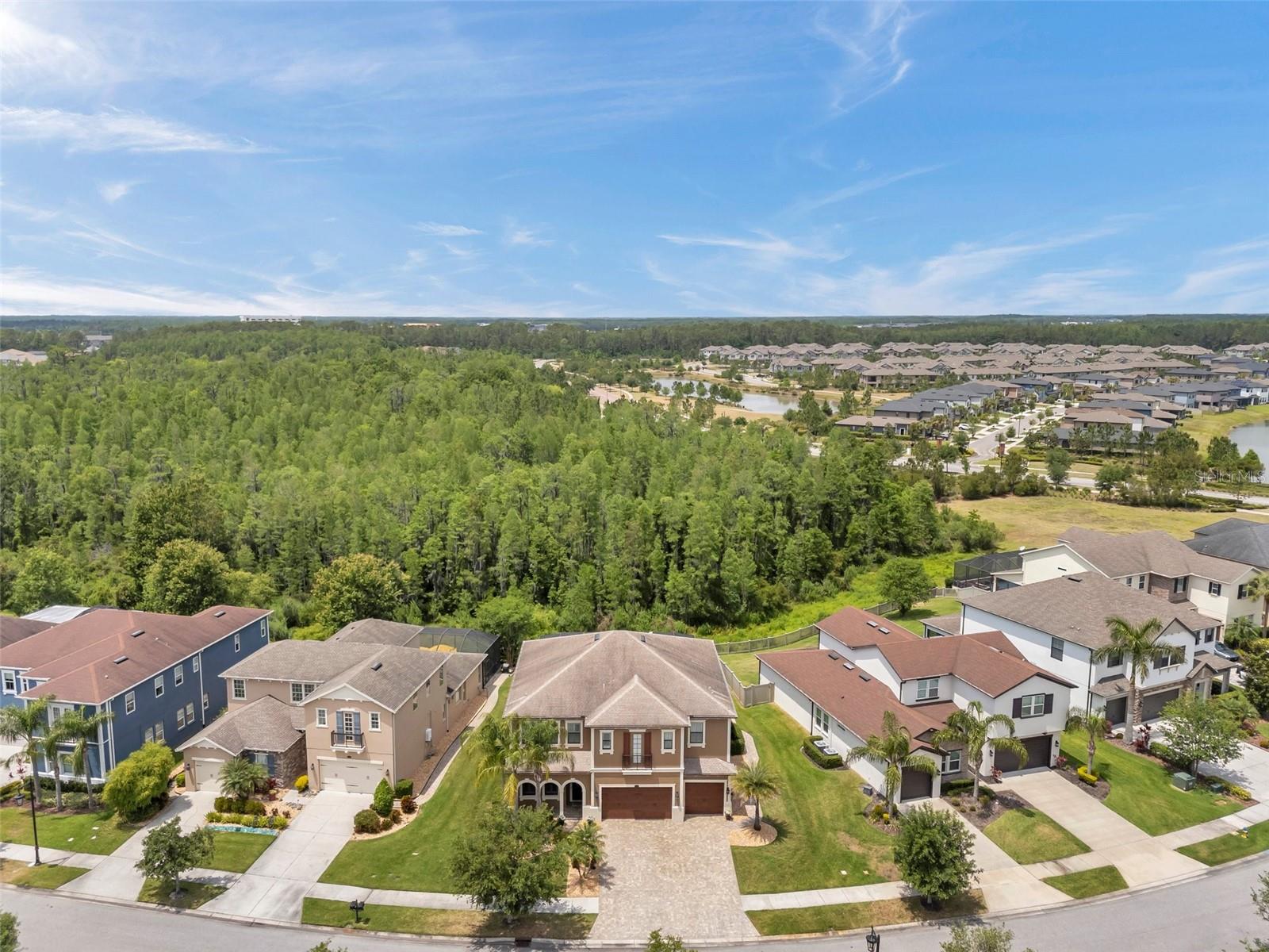 4419 ORTONA LN, WESLEY CHAPEL, FL, 33543