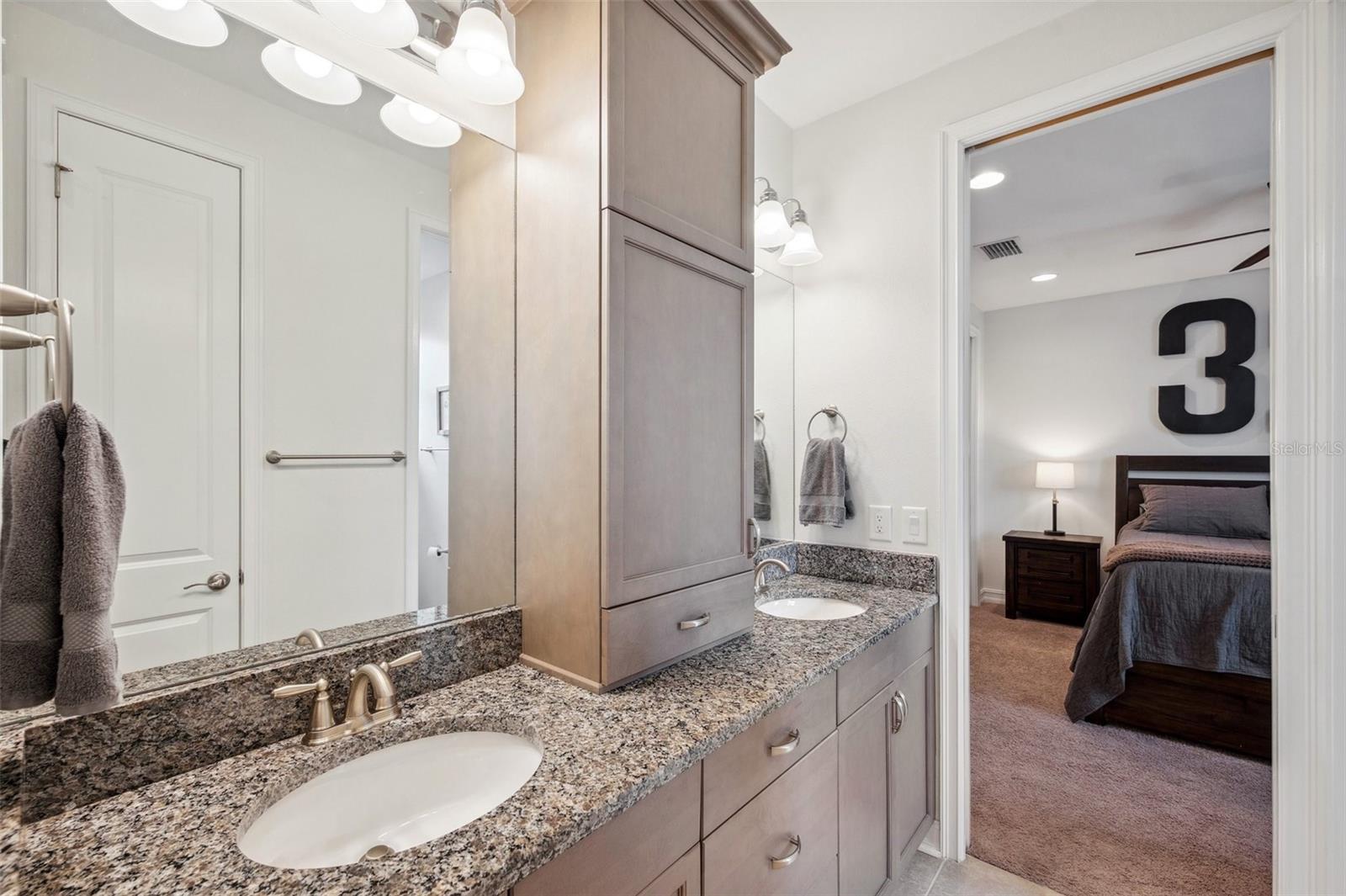 4419 ORTONA LN, WESLEY CHAPEL, FL, 33543