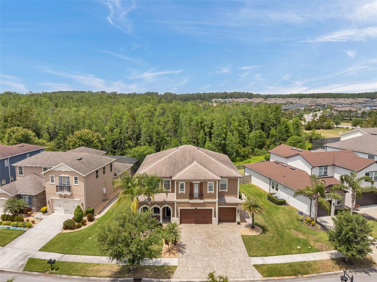 4419 ORTONA LN, WESLEY CHAPEL, FL, 33543