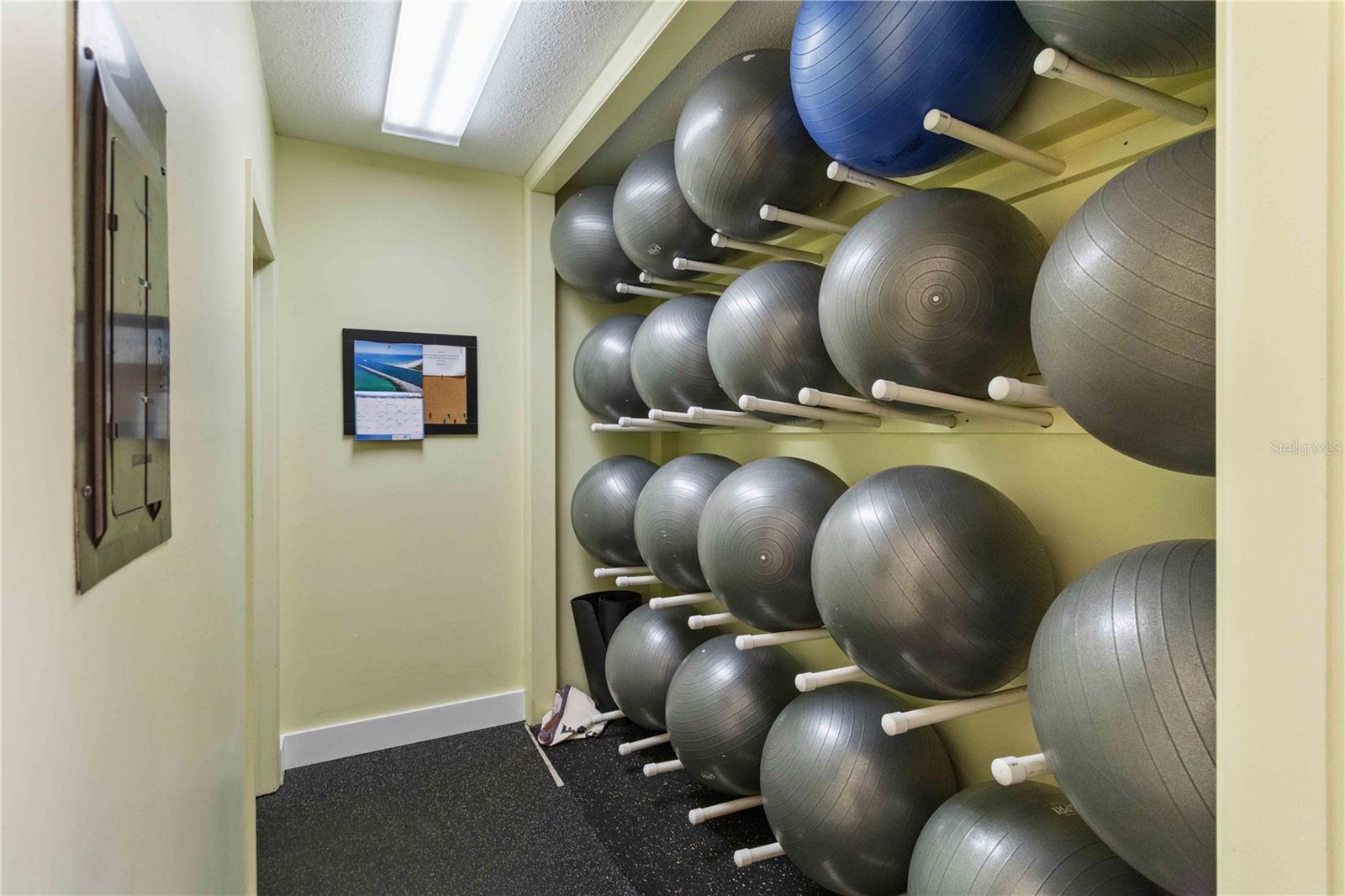 672 WHITE PINE TREE RD #57, VENICE, FL, 34285