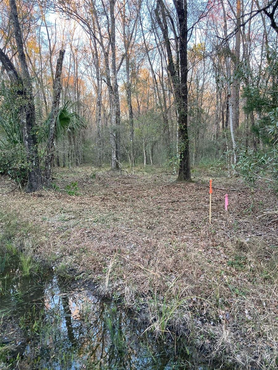 10450 WEATHERBY AVE, HASTINGS, FL, 32145