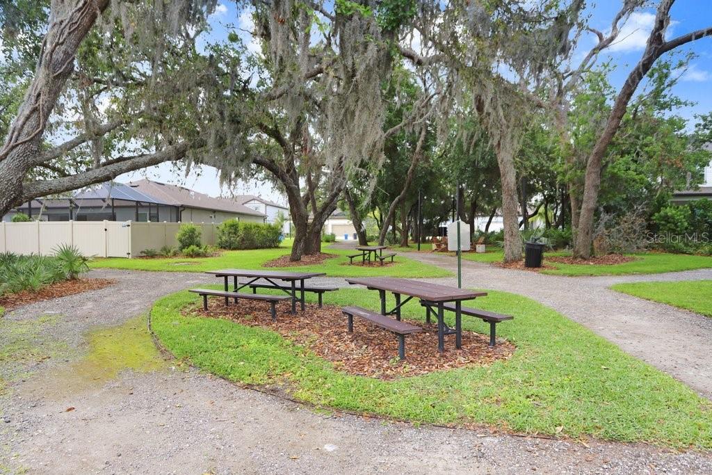 14184 SAMOA HILL CT, RIVERVIEW, FL, 33569