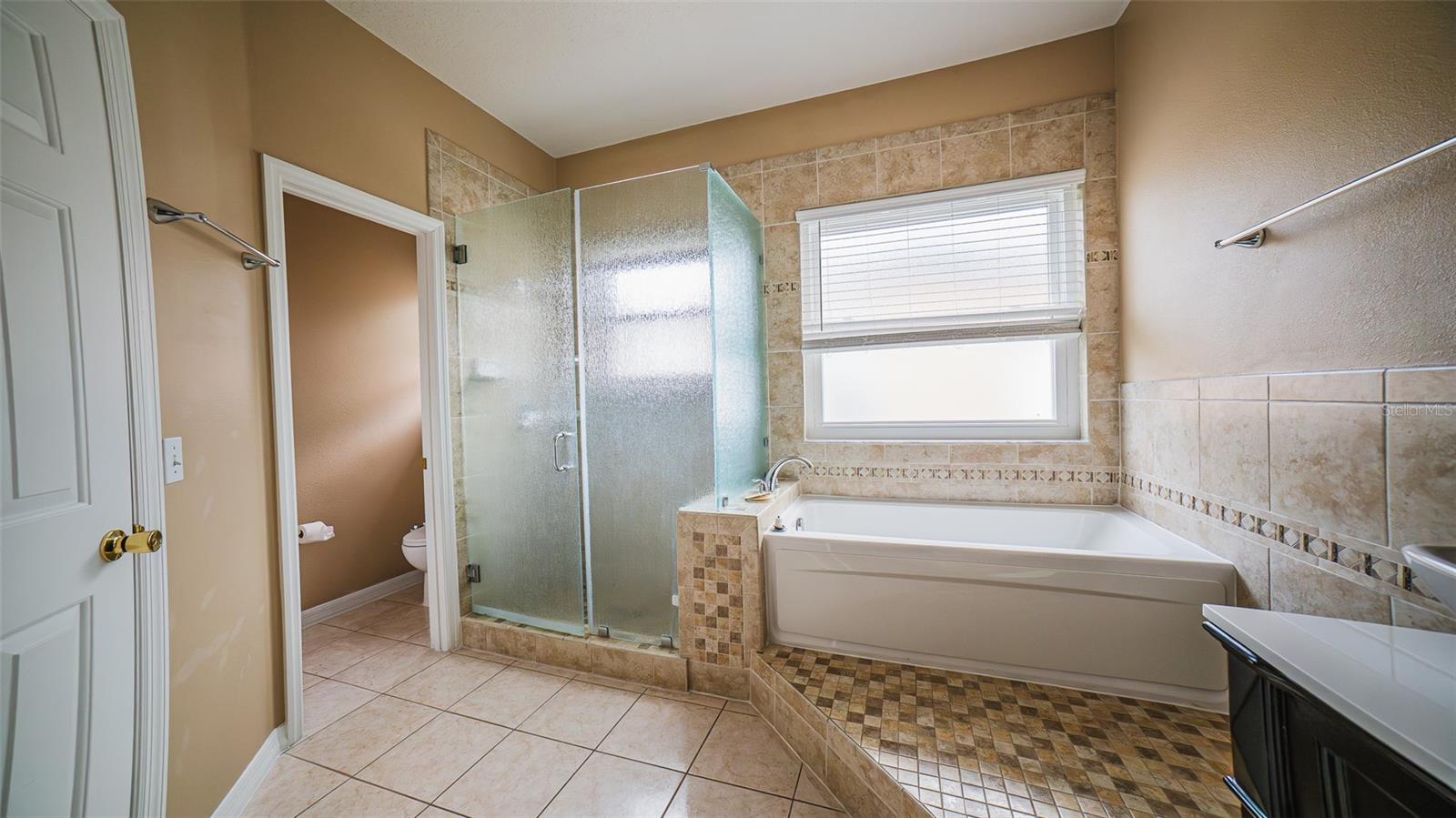 428 ACACIA TREE WAY, KISSIMMEE, FL, 34758