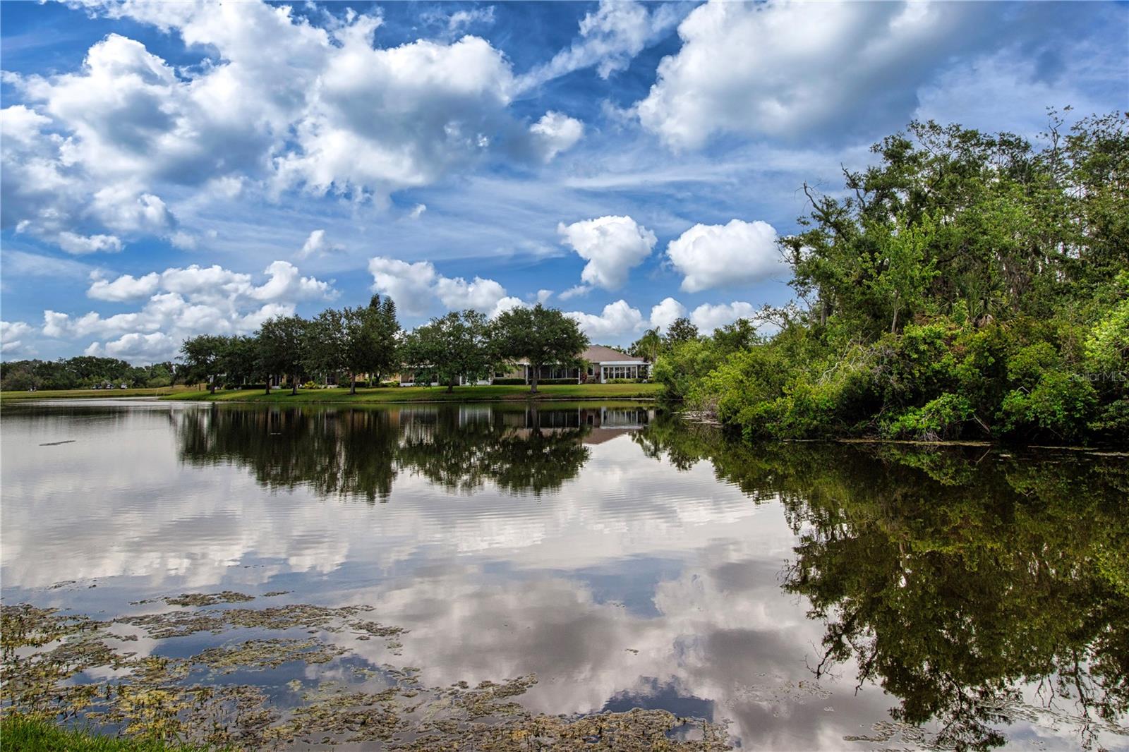 542 PRINCETON GREENS CT #21, SUN CITY CENTER, FL, 33573