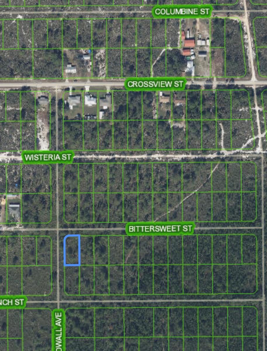 629 GADWALL AVE, LAKE PLACID, FL, 33852