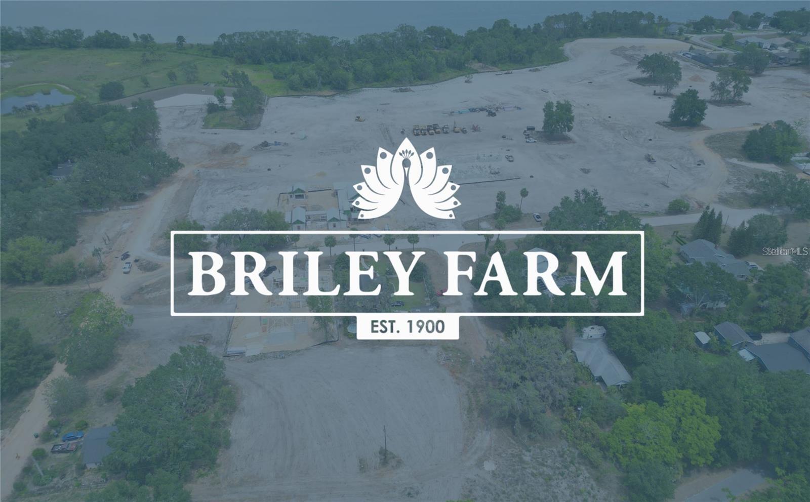 510 N NIXON ST, OAKLAND, FL, 34787