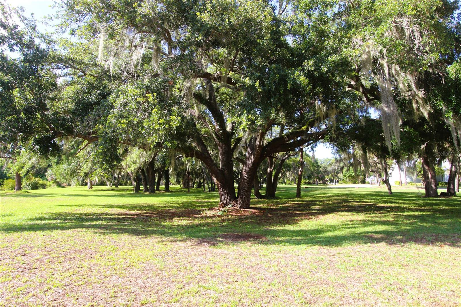 151 APACHE CT, OAK HILL, FL, 32759