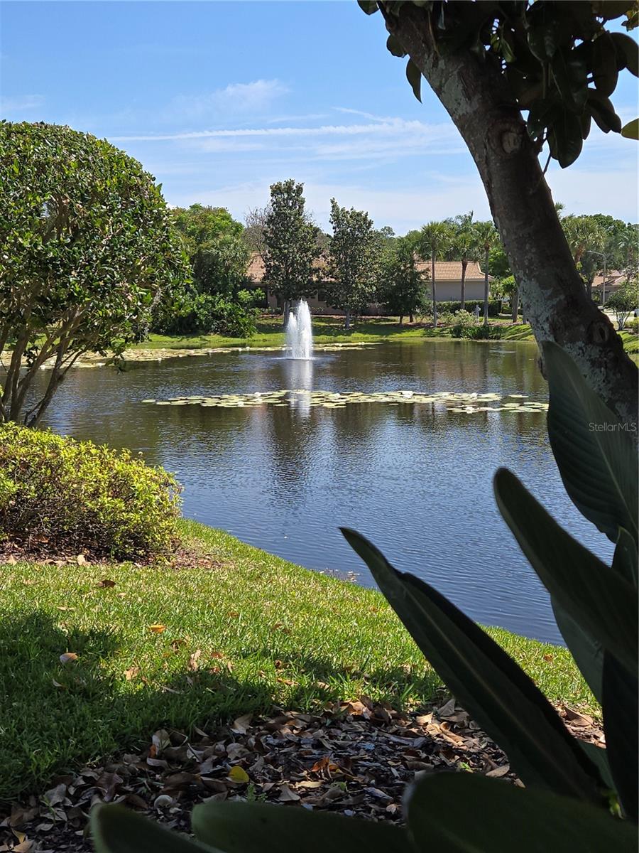 3964 SILK OAK LN, PALM HARBOR, FL, 34685