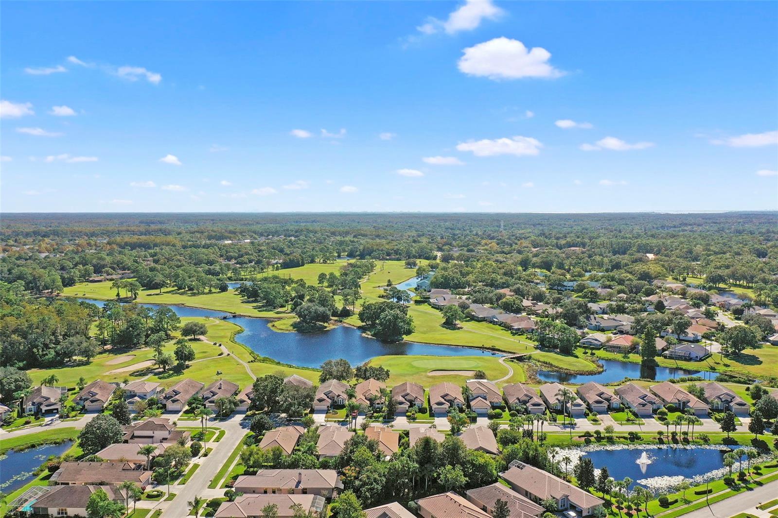 3964 SILK OAK LN, PALM HARBOR, FL, 34685