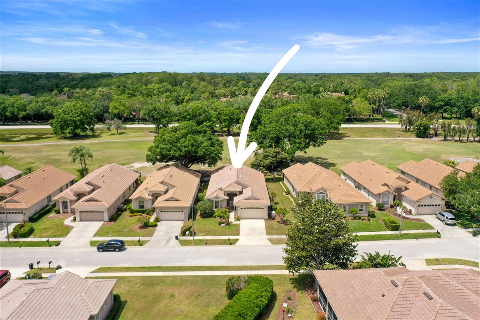 3964 SILK OAK LN, PALM HARBOR, FL, 34685