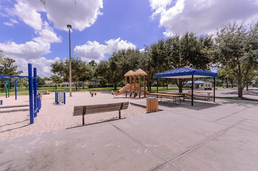 3964 SILK OAK LN, PALM HARBOR, FL, 34685