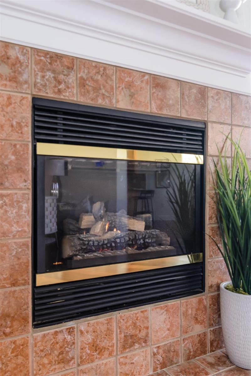 3964 SILK OAK LN, PALM HARBOR, FL, 34685